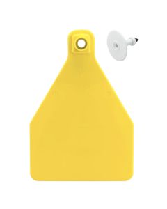 Temple Tag Herdsman-Female & Buttons Large Yellow Blank 25 Count