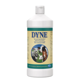 PetAg Dyne High Calorie Liquid Livestock Supplement [32oz]