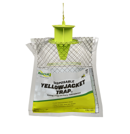 RESCUE! Disposable Yellow Jacket Trap [East]