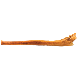 Dogginstix Jumbo Bully Stick [12"]