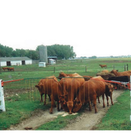 Electric Drive-Thru Gate [18-24']