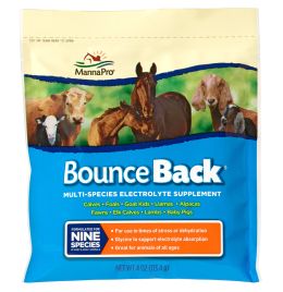 Bounce Back [4 oz.]