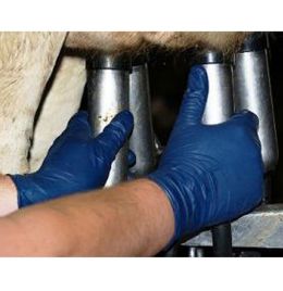 Milker's Helpers Gloves Nitrile LP [XLarge] (100 Count)