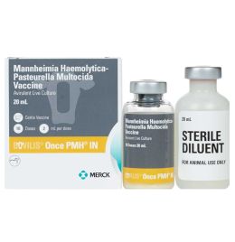 Merck - 117258 - Bovilis Once PMH IN [20 mL] (10 ds)