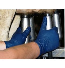 Milker's Helpers Gloves [Medium] (100 Count)