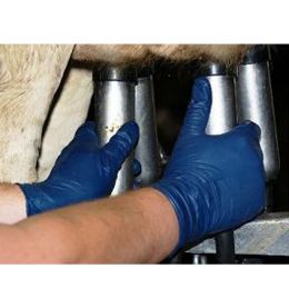Milker's Helpers Gloves Nitrile LP [Small] (100 Count)