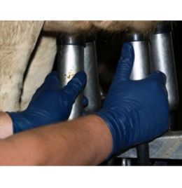 Milker's Helpers Gloves [Large] (100 Count)