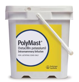 PolyMast (144 Count)