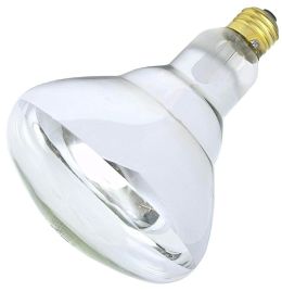 SATCO Brood Bulb 04750 (Clear