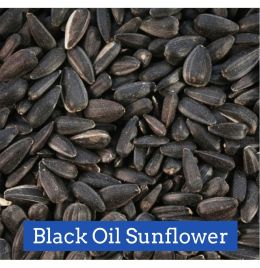 Snow Country Black Oil Sunflowers [25 lb]
