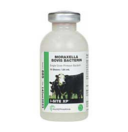I-Site XP [20 mL] (10 Doses)