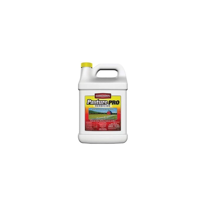 bonsai tree amazon 3 Tree Redwood Forest Bonsai Tree main image 1