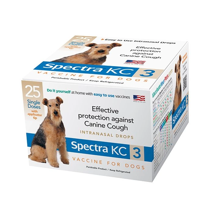 Canine Spectra KC 3 (1 ds)