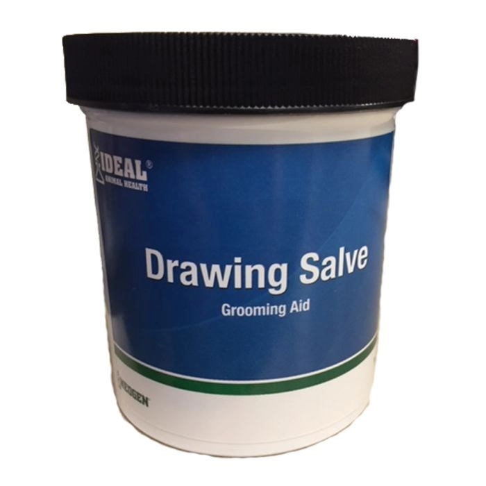 lion drawing ointment