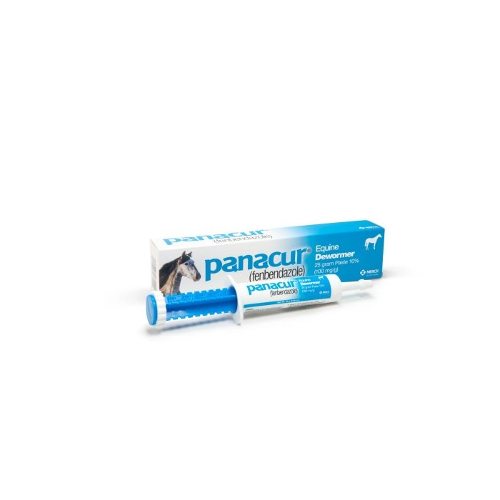 Panacur Pâte Équine 25g - Vermifuge Pour Chevaux - Neuf Sous Blister