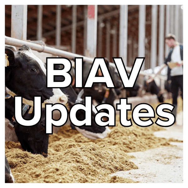 biav-updates