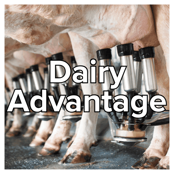 dairy-advantage