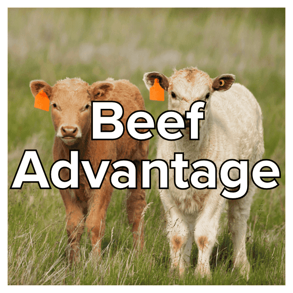 beef-advantage