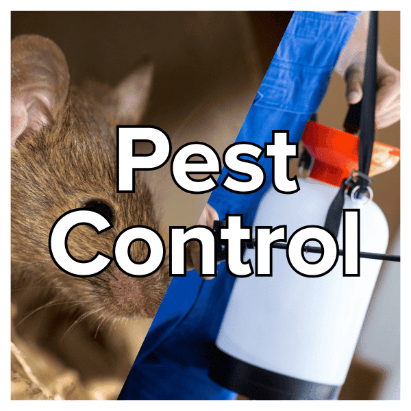 pest-control