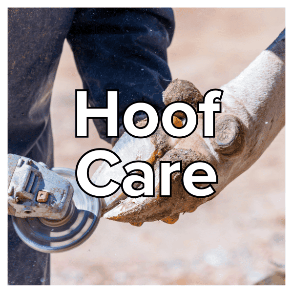 hoof-care